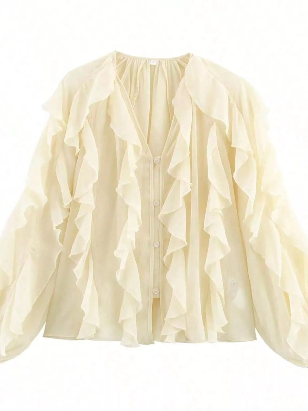 Ruffled Sheer Long Sleeve Blouse