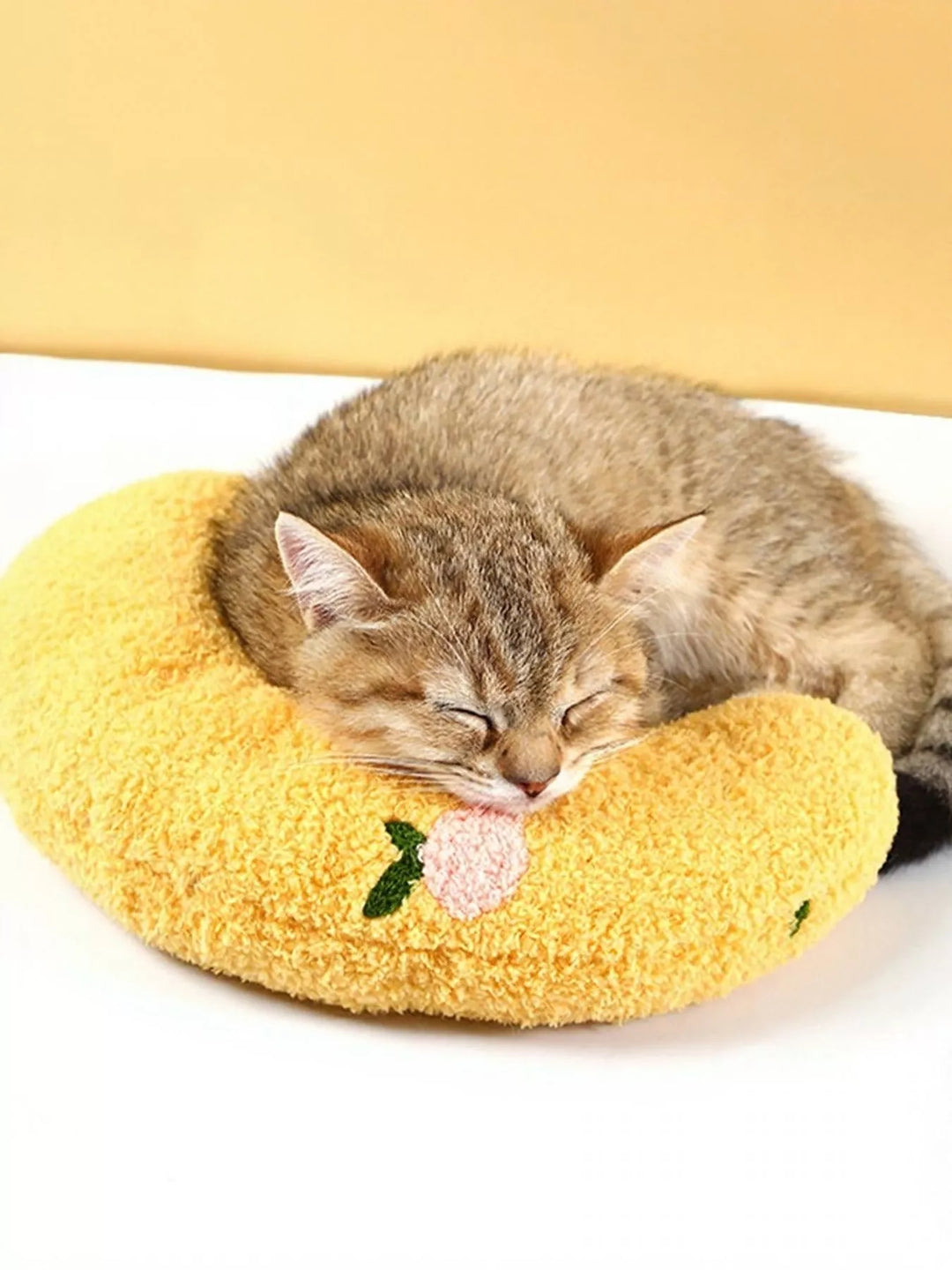 03dae1ff-1ad3-4c1e-ae25-3c18f542f044-Max-Origin