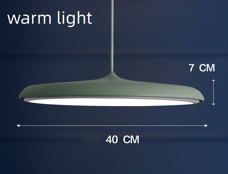 Nordic Modern Simple LED Chandelier Restaurant Chandelier Designer Chandelier