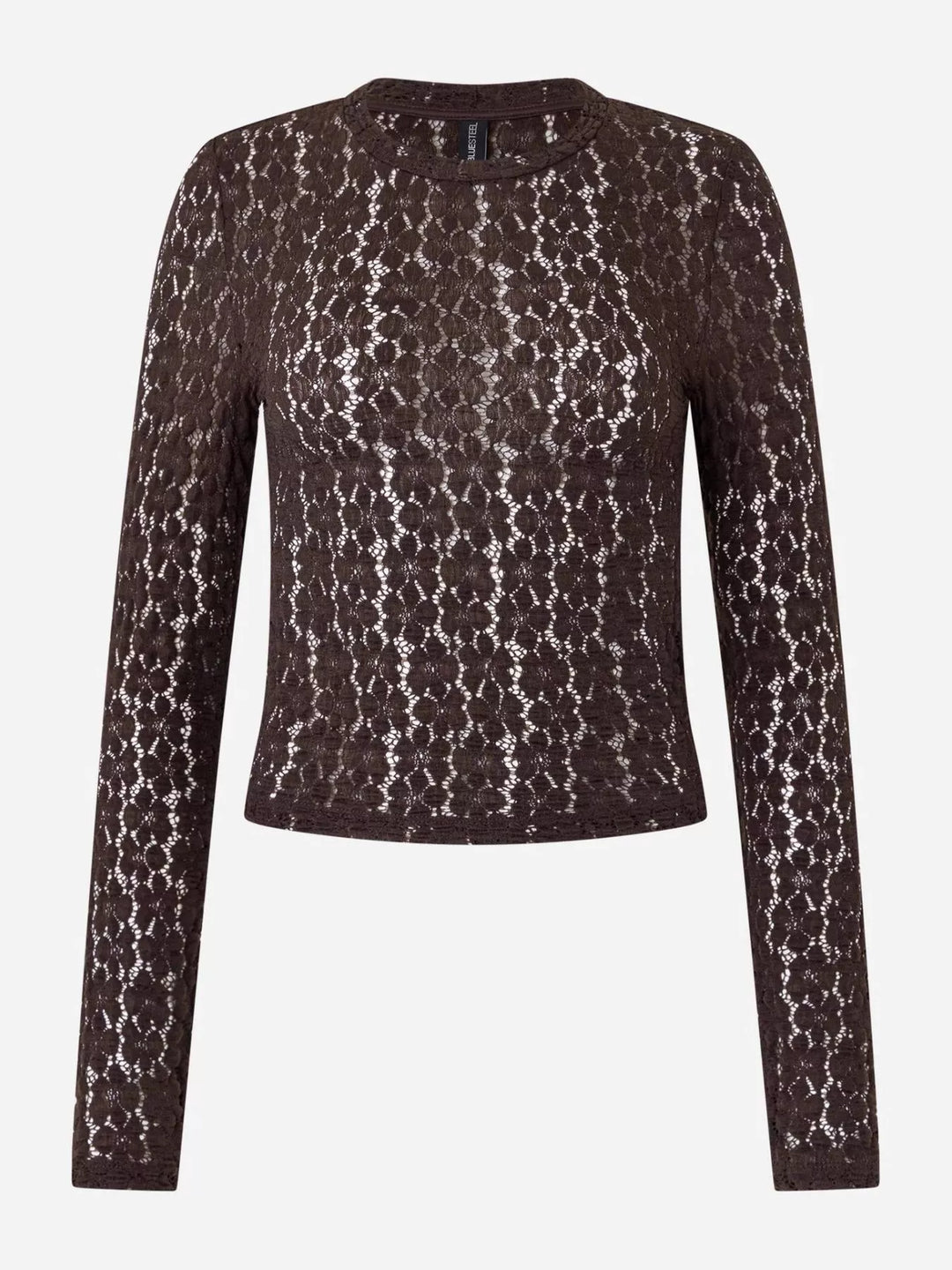 Lace Round Neck Long Sleeve Blouse