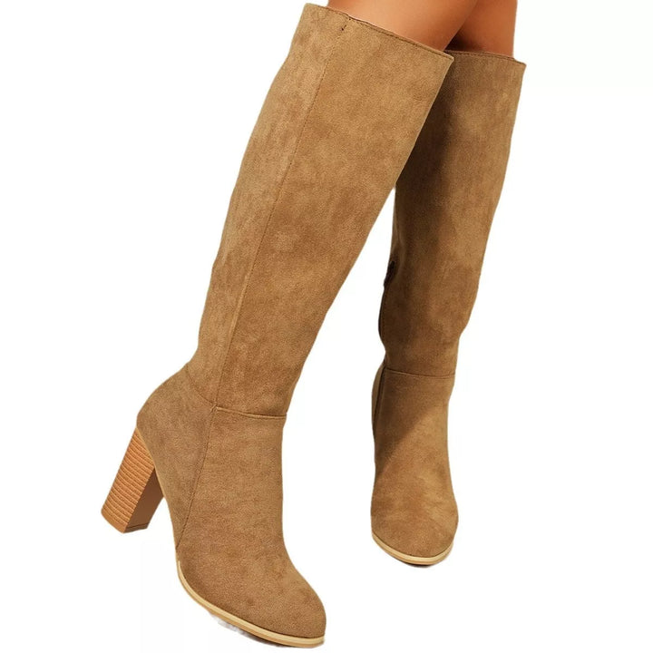Point Toe Block Heels Boots