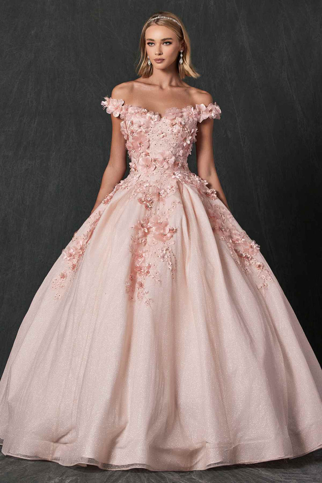 Juliet 1433 Dress Quinceanera Ball Gown 3D Floral Embroidered