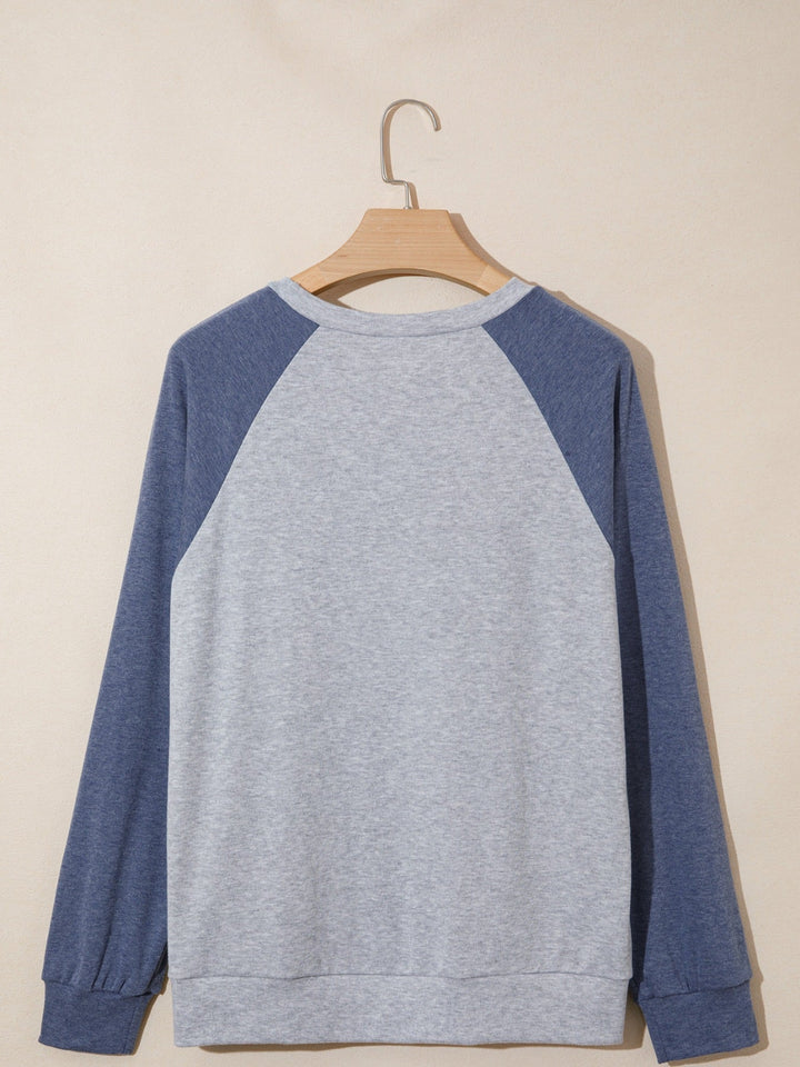 Color Block Flower Embroidered Patch Graphic Raglan Long Sleeve Top