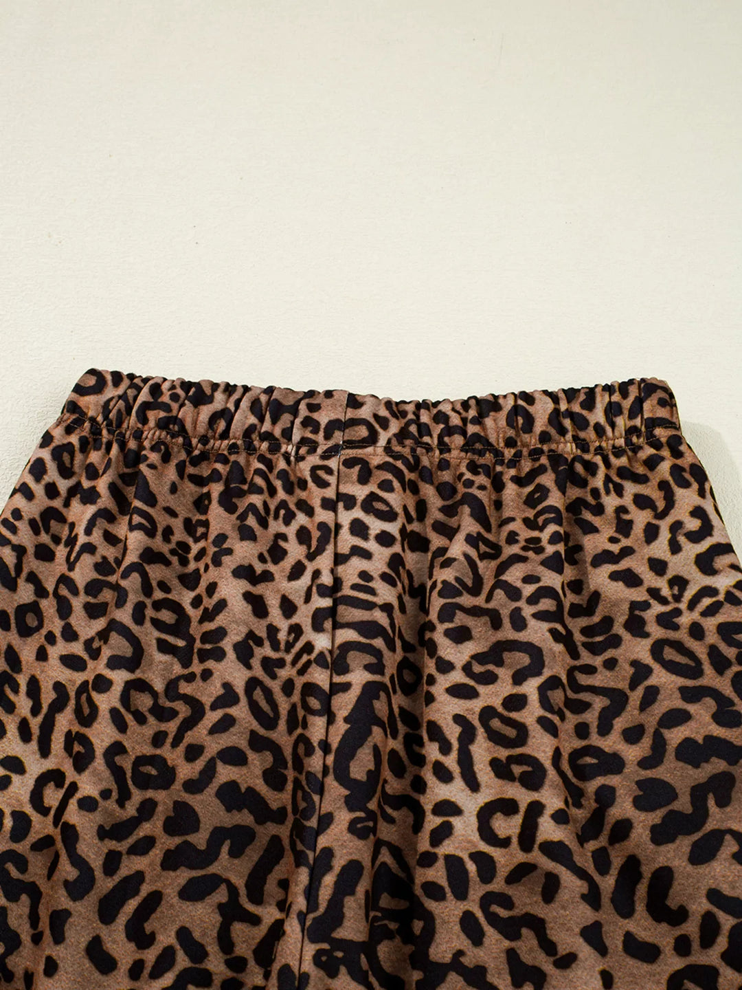 Leopard Print Contrast Trim Long Sleeve Top and Pants Set