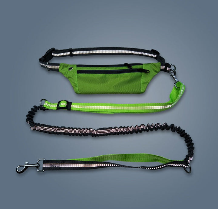 Dog collar without hands
