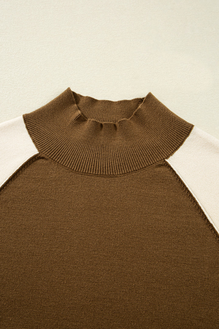 Desert Palm Colorblock Raglan Puff Sleeve Mock Neck Sweater