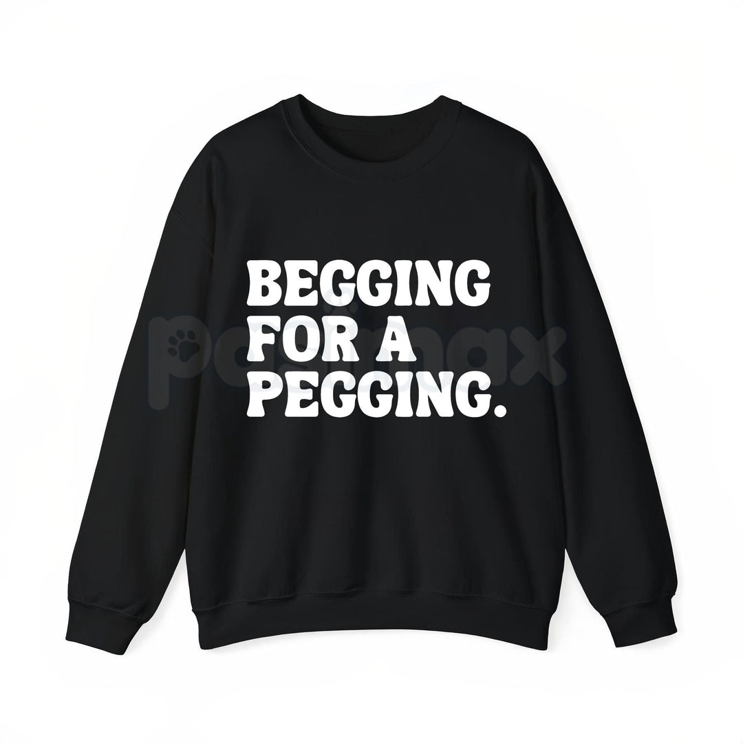 "Begging for A Pegging" Funny Letter Print T-Shirt – Adult Humor Graphic Tee, Unisex Sweatshirt & Hoodie
