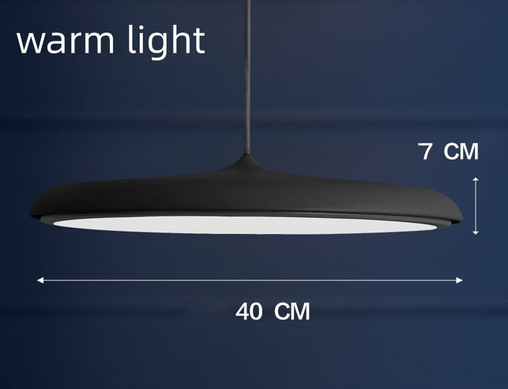 Nordic Modern Simple LED Chandelier Restaurant Chandelier Designer Chandelier