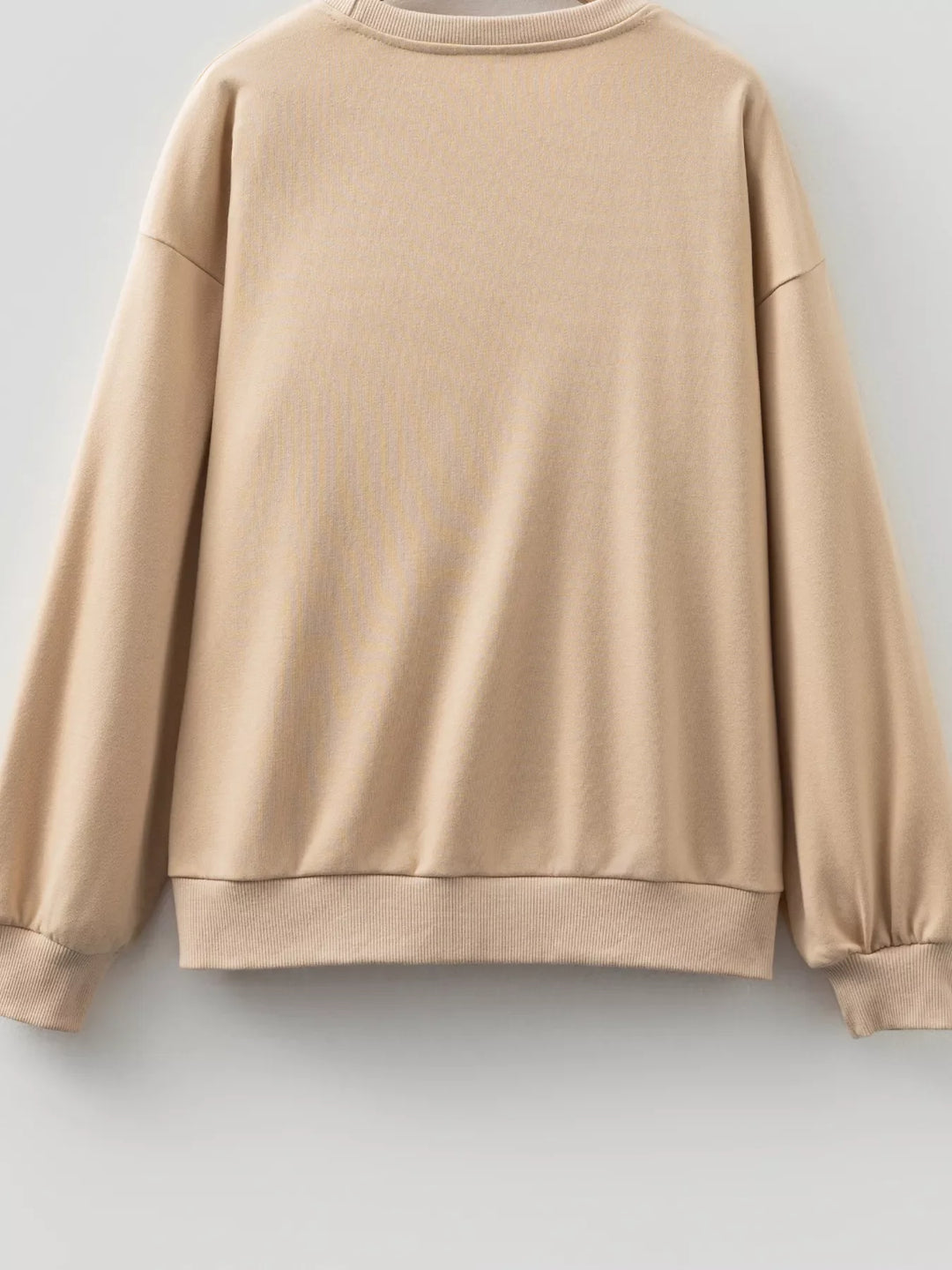 Embroidered Flower Pattern Drop Shoulder Sweatshirt