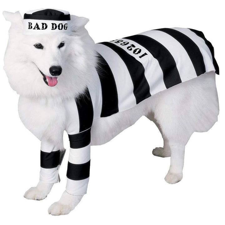 Prisoner Jail Bad Dog Black and White Convict Pet Costume Large