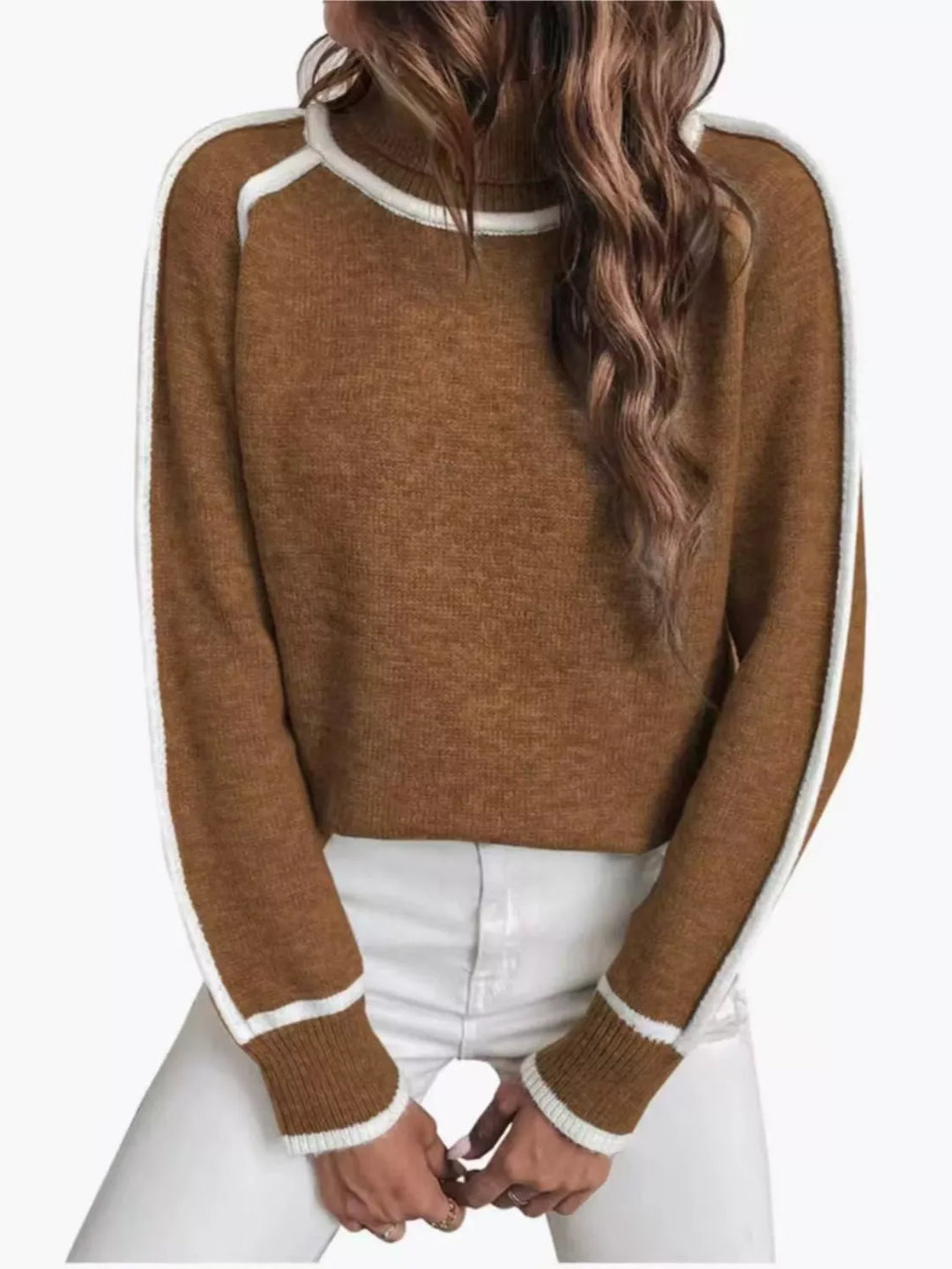 Full Size Turtleneck Contrast Trim Sweater Plus Size