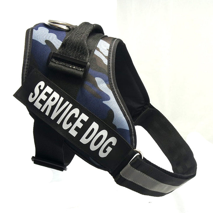 Chest strap