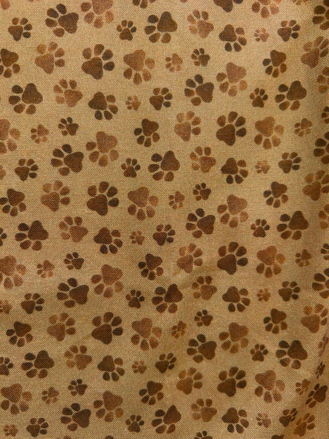 Paw Print Bow Top