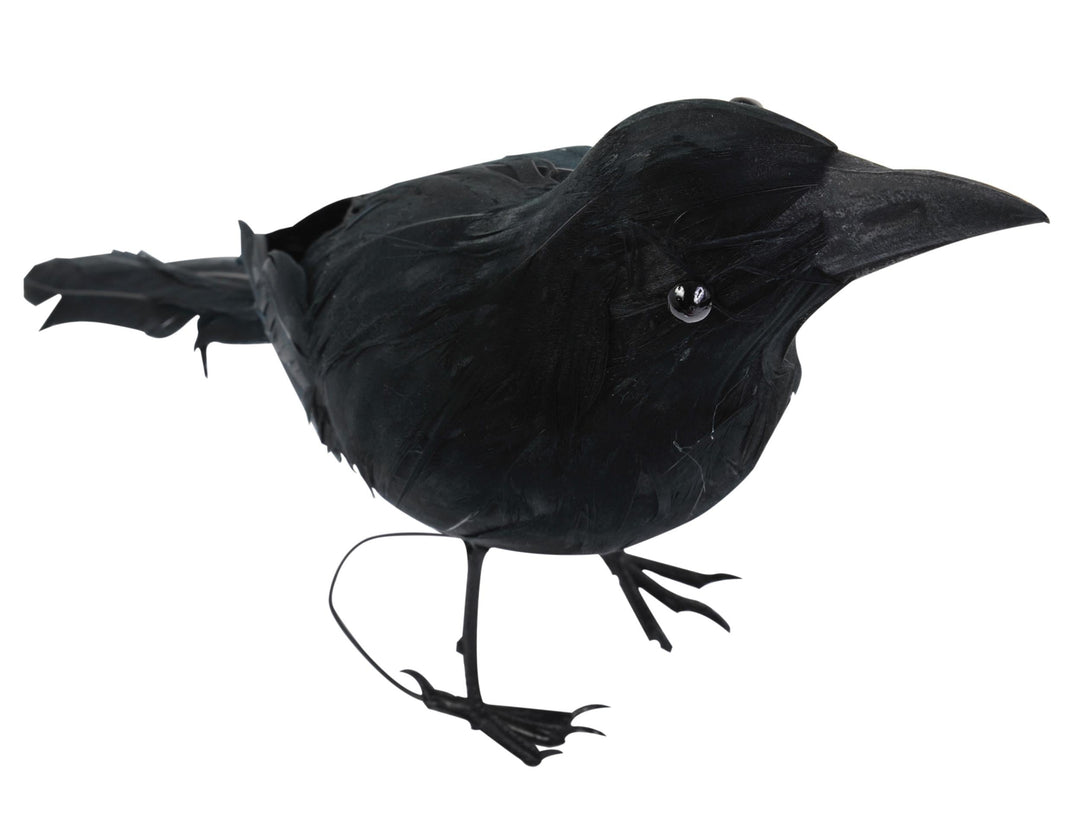 Realistic Giant Black Raven Bird Prop