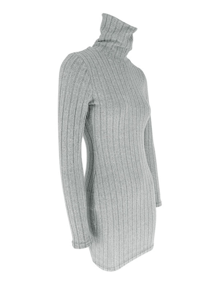 Turtleneck Ribbed Bodycon Mini Dress