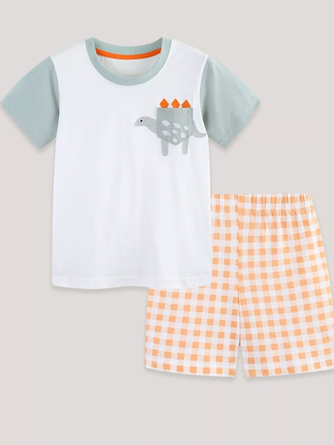 Children's Dinosaur Short Sleeve Tee and Shorts Set