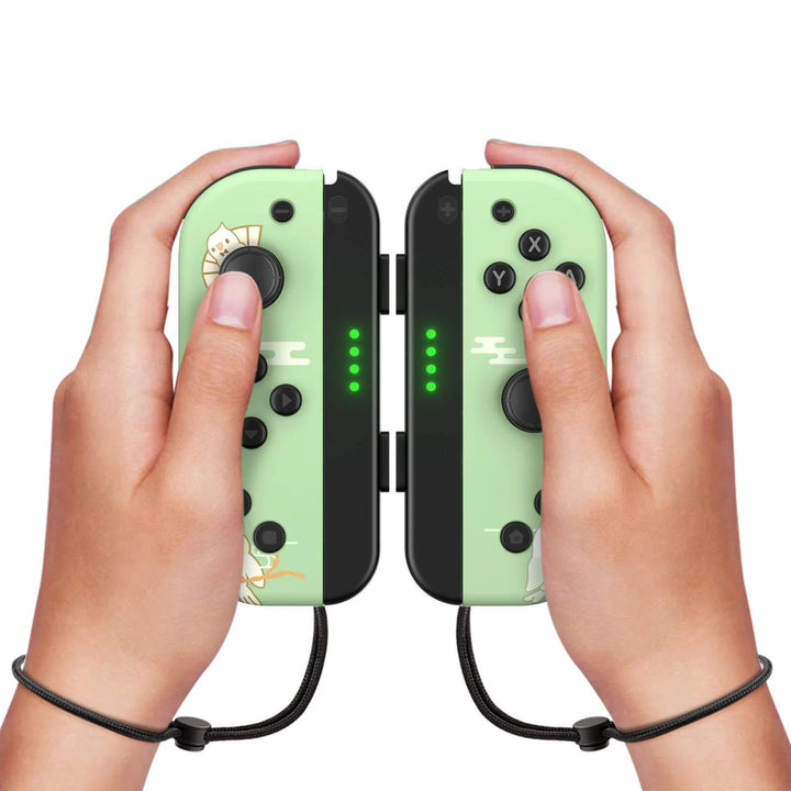 Console Gamepad NS Dual Gamepad With Hand Rope