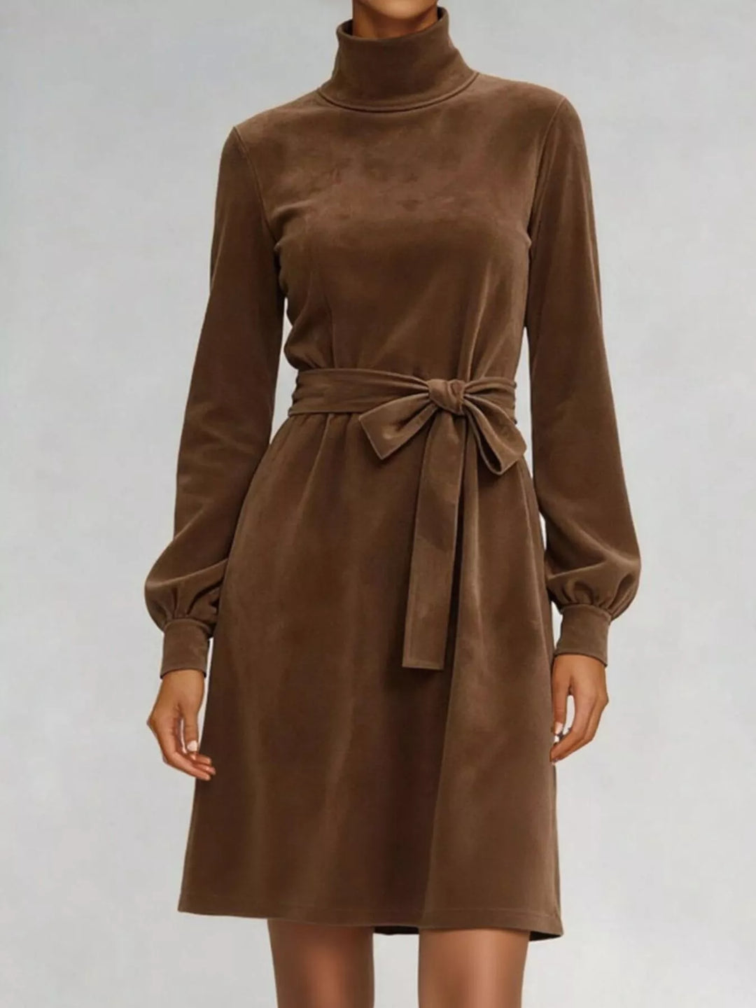 Bow Velvet Turtleneck Lantern Sleeve Dress
