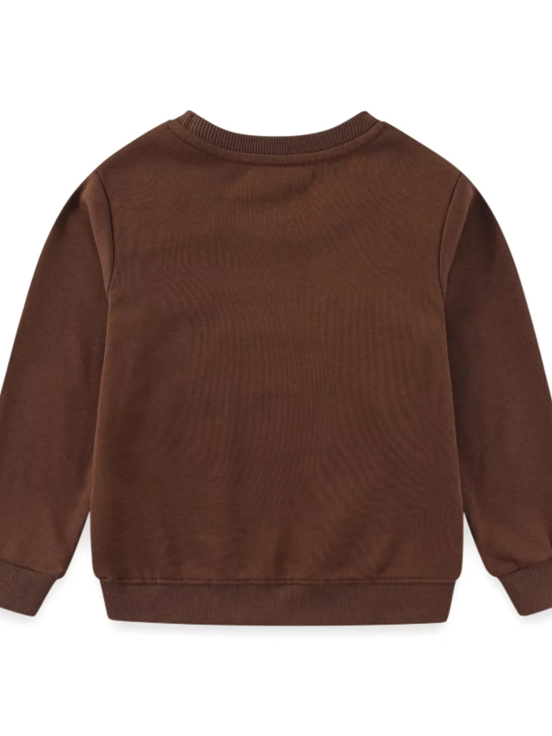 Children's Dinosaur Embroidered Crew Neck Sweatshirt
