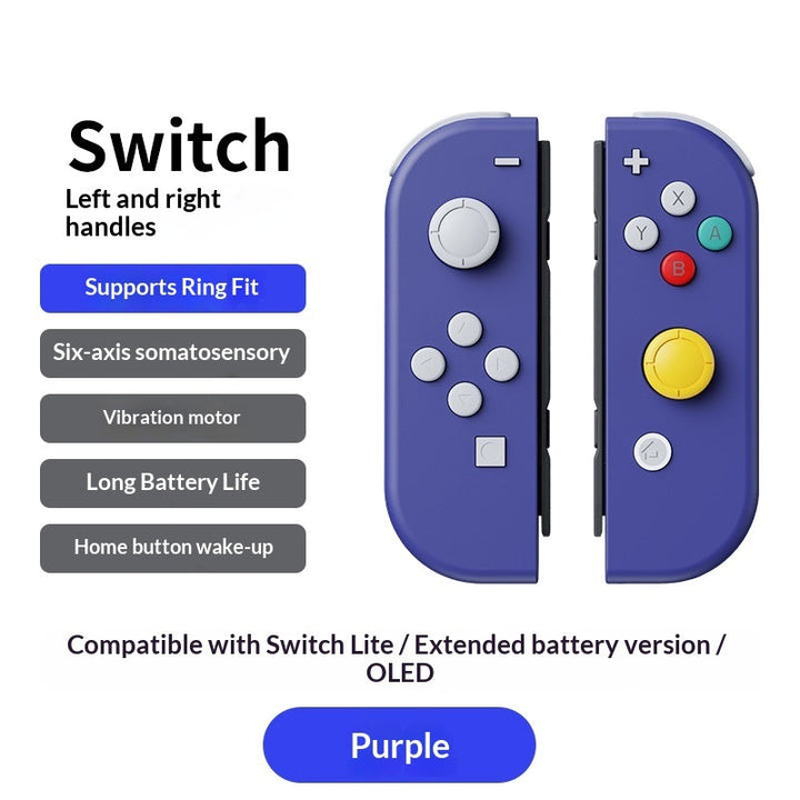 Console Gamepad NS Dual Gamepad With Hand Rope