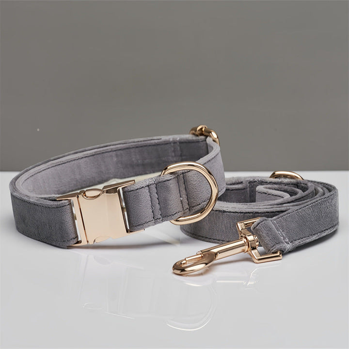 Mint Green Dog Collar Leash