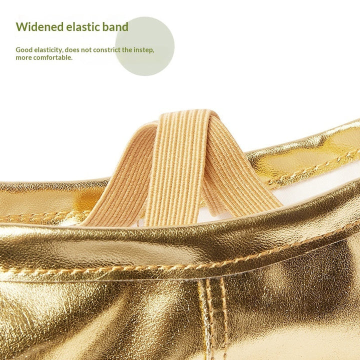 Soft-soled Practice PU Leather Cat-claw Gold And Silver Dance Shoes