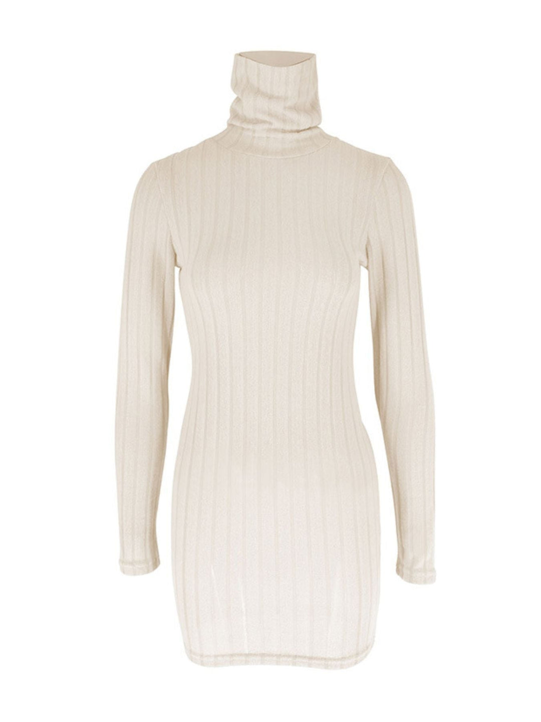 Turtleneck Ribbed Bodycon Mini Dress