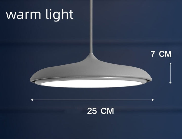 Nordic Modern Simple LED Chandelier Restaurant Chandelier Designer Chandelier