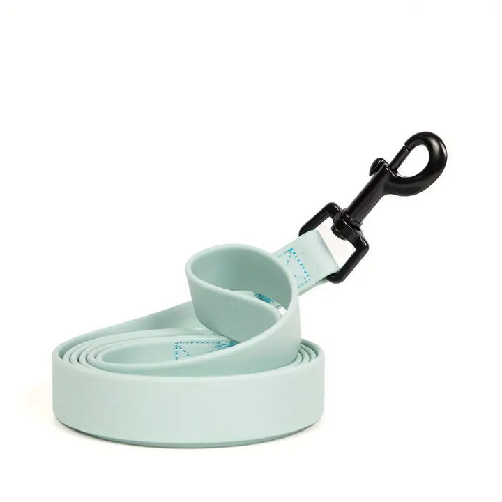Simple Solid Color Plain Weave Pet Leash