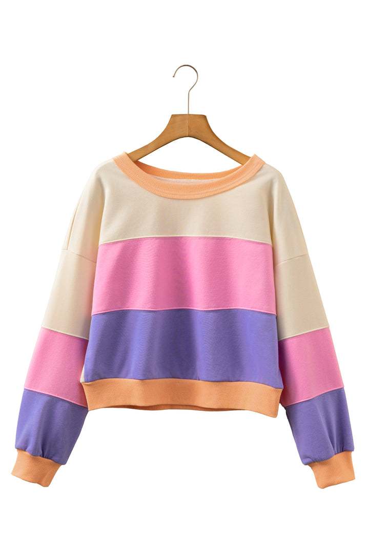 Phalaenopsis Color Block Patchwork Drop Shoulder Cropped Sweatshirt