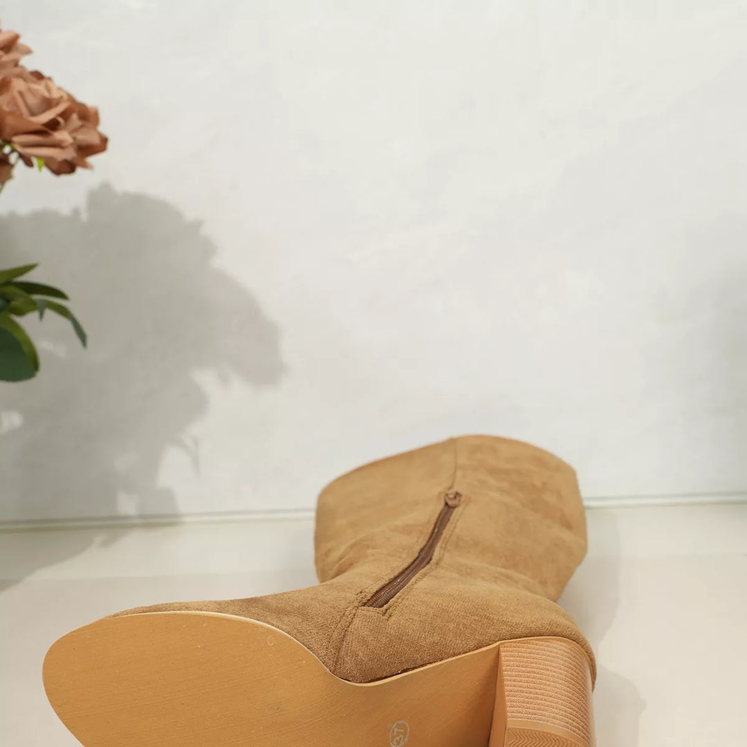 Point Toe Block Heels Boots