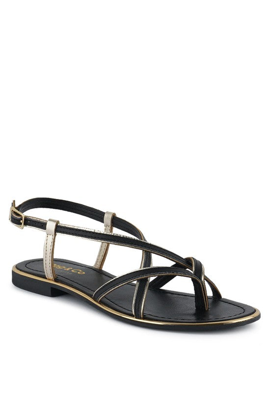91515BC51DFB9C7E9499ED27EB168CFC/918ade7b-db67-40b3-a81c-136562b0ed56.jpg