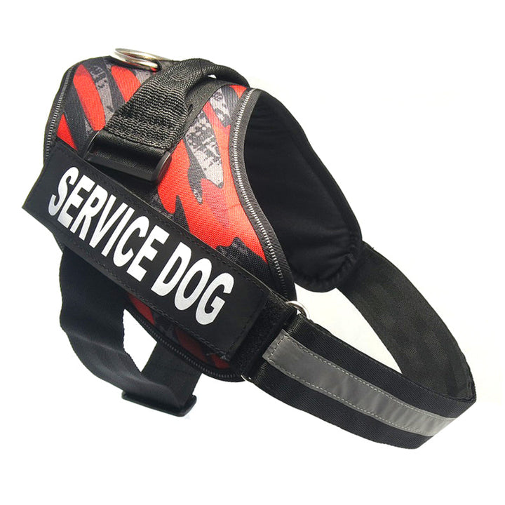 Chest strap