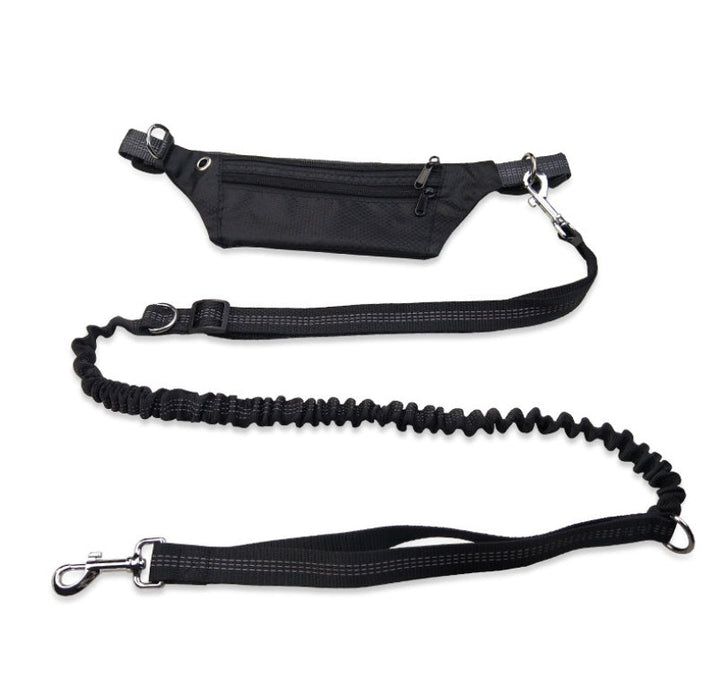 Dog collar without hands