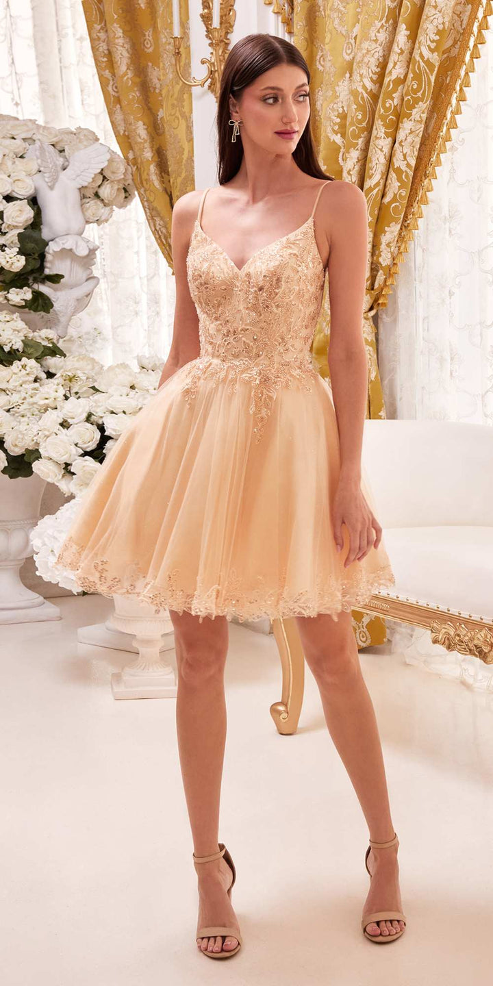 Ladivine CD0213 Short A-Line and Glitter Tulle Dress