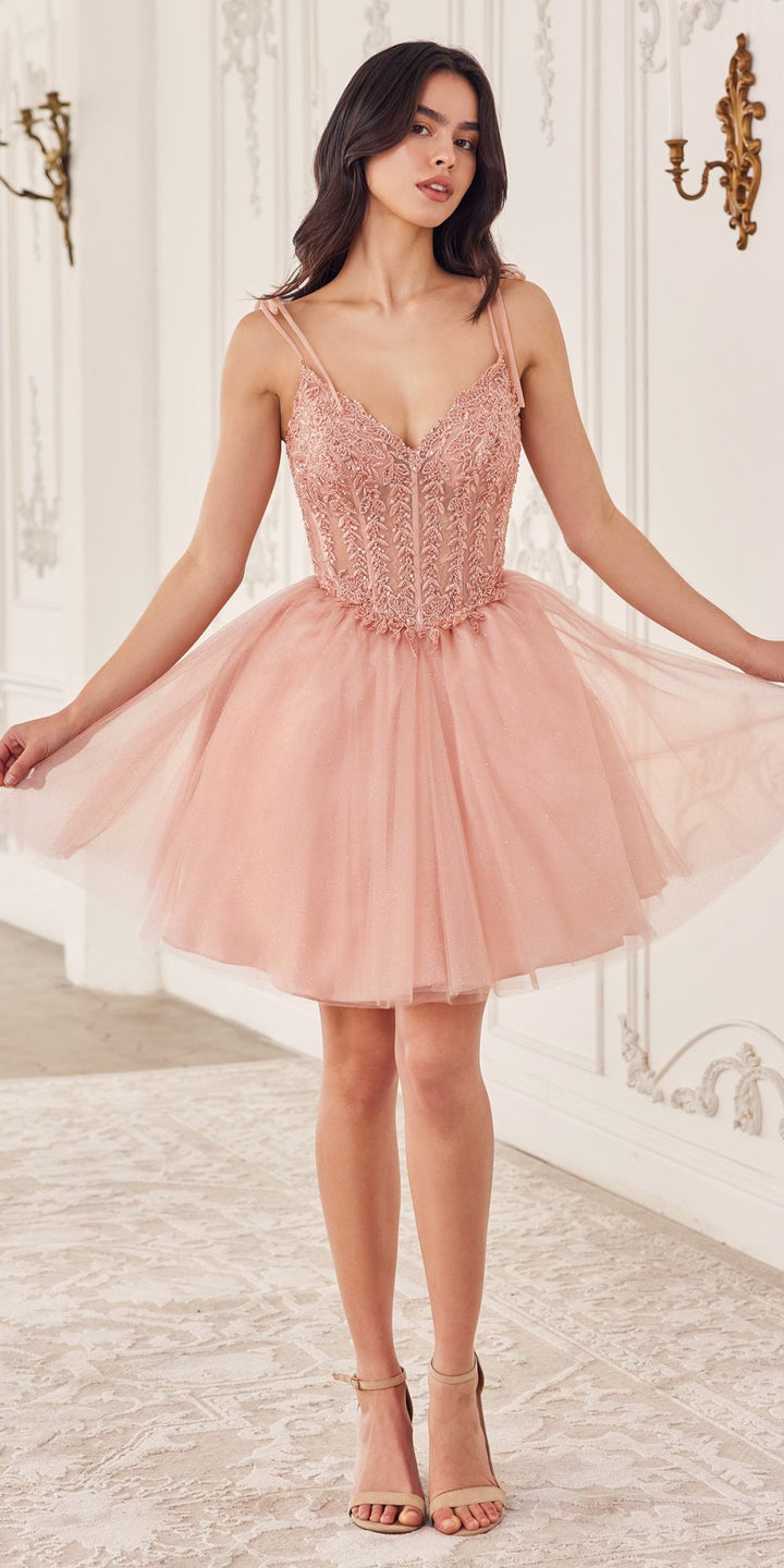 Ladivine CD0236 Short A-Line Tulle Homecoming Dress