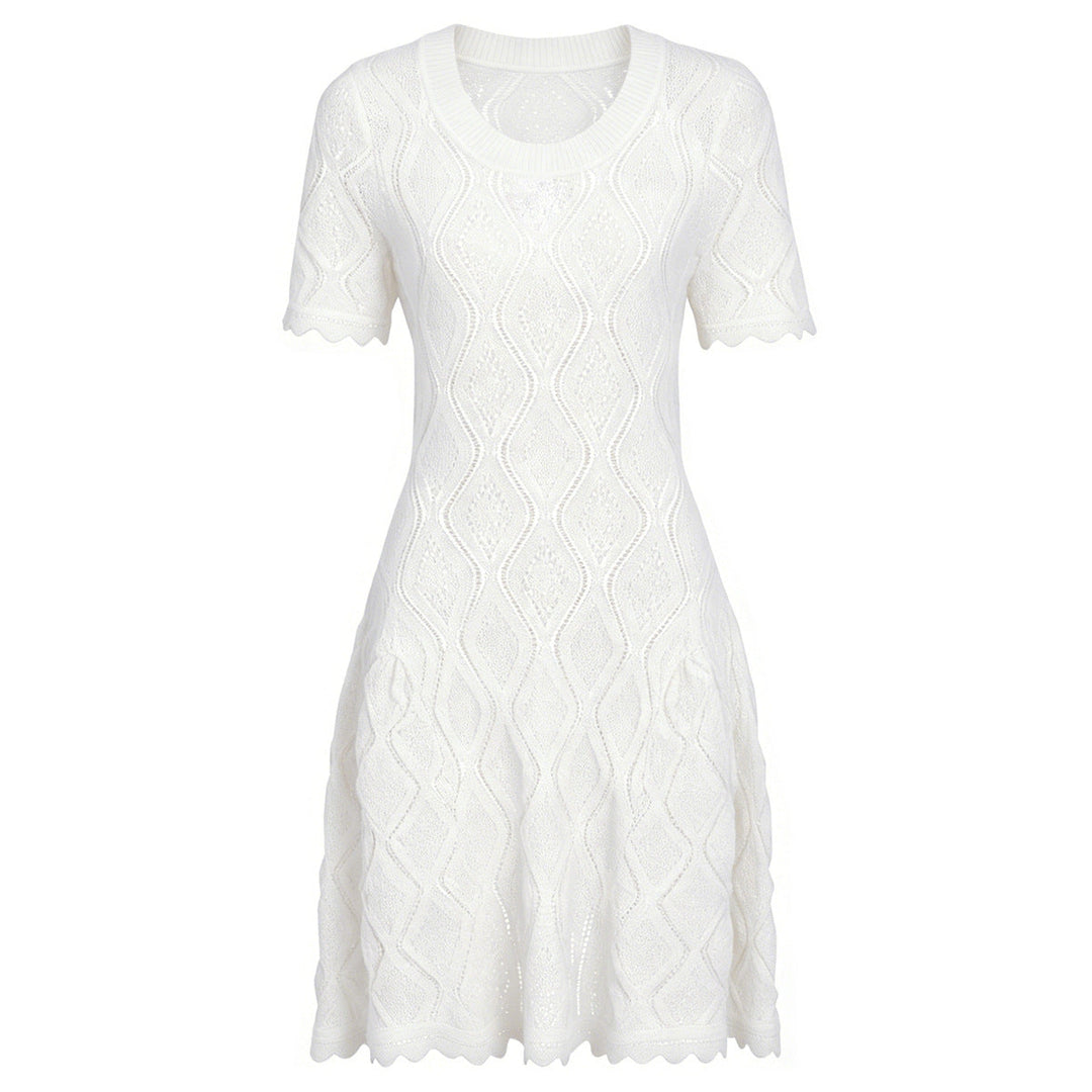 Summer Ladies Internet Popular Slim Fitting Slimming Short Sleeve Embroidered Hollow Out Cutout Dress Women
