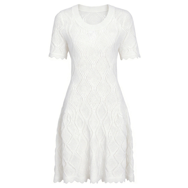 Summer Ladies Internet Popular Slim Fitting Slimming Short Sleeve Embroidered Hollow Out Cutout Dress Women
