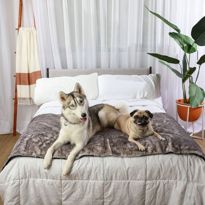 PupProtector™ Luxe Waterproof Bed Runner - Ultra Soft Chinchilla