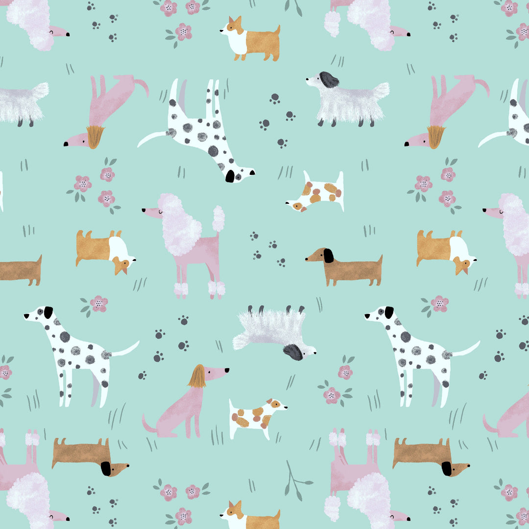 Dogs Collared Dress