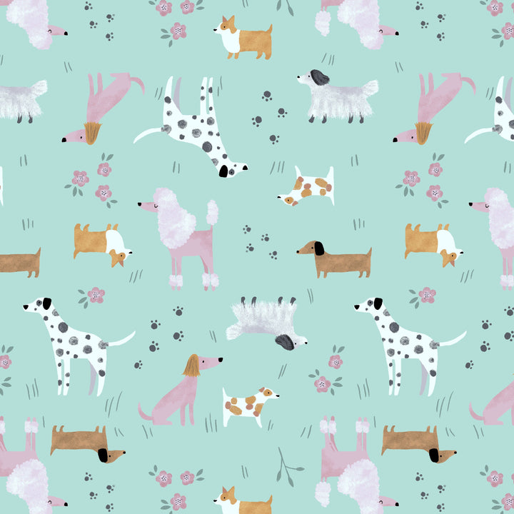 Dogs Collared Dress