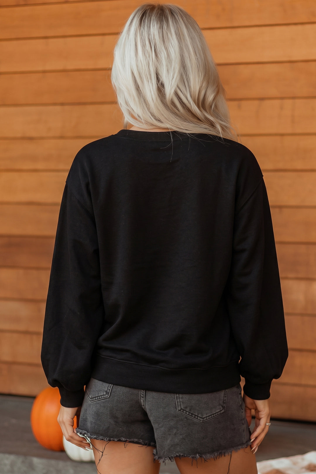 Color black Embroidered Spooky Season Graphic Long Sleeve Round Neck Pullover Sweatshirt