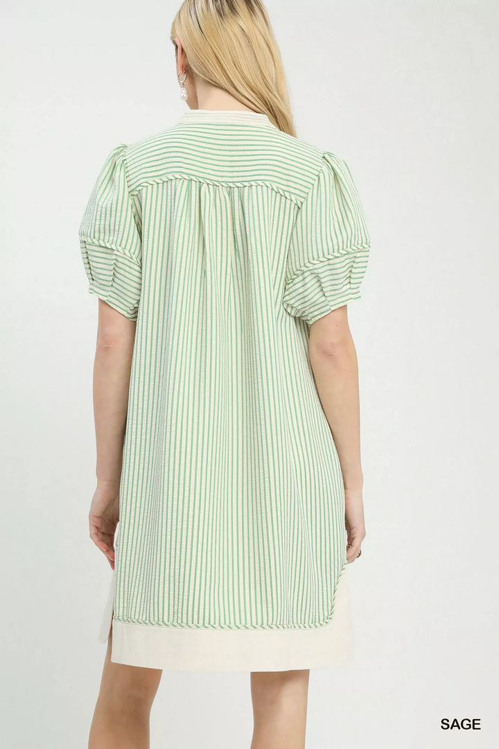 Umgee Pinstripe Shift Dress with Contrast Trim