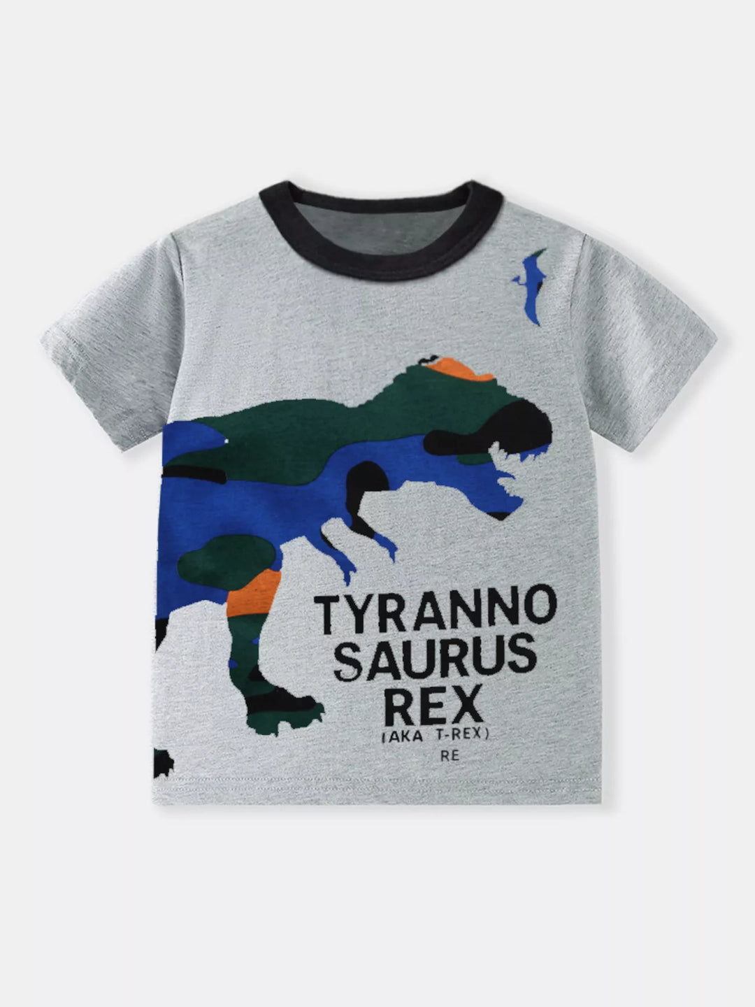 Children's Dinosaur Graphic Round Neck T-Shirt