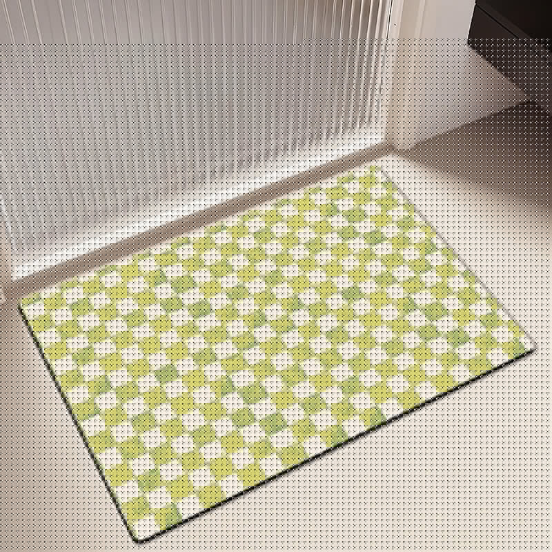 Quick-drying Door Mat Dirt- And Scratch-resistant Foot Mat Diatomaceous Earth Floor Mat