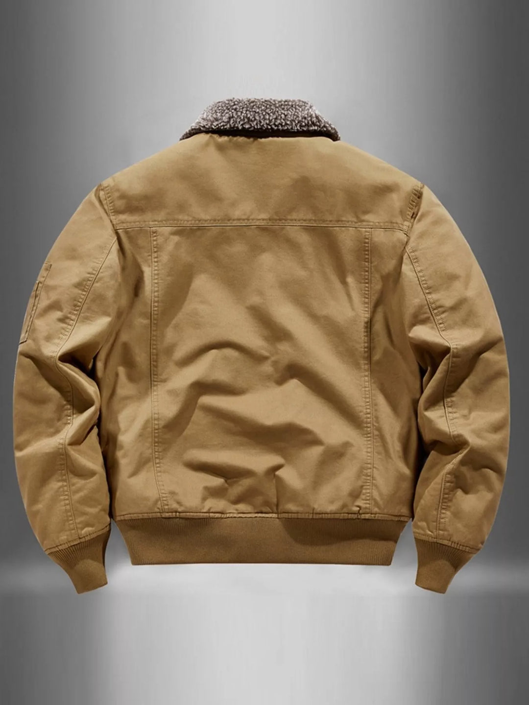 Men's Plus Size Zip Up Fur Collar Jacket