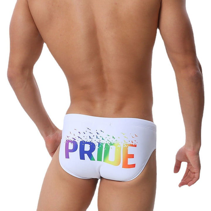 Mens New Printed Briefs Multicolor Print