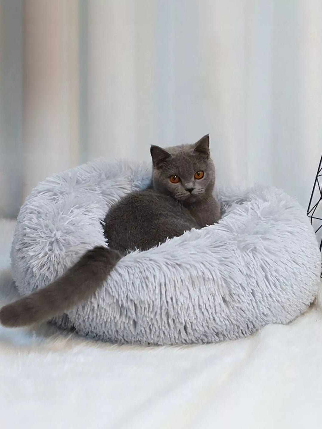 b75e1dc8-8895-4756-a35e-0be060ffa297-Max-Origin