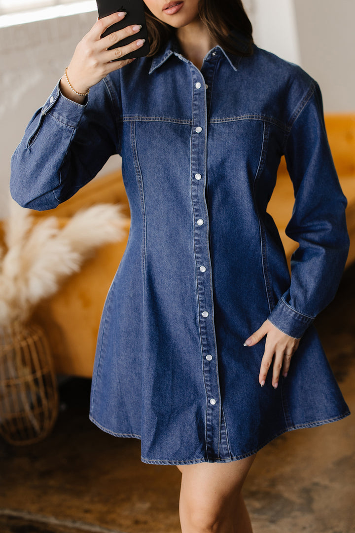 Denim Shirt Collar Long Sleeve Flared Mini Dress