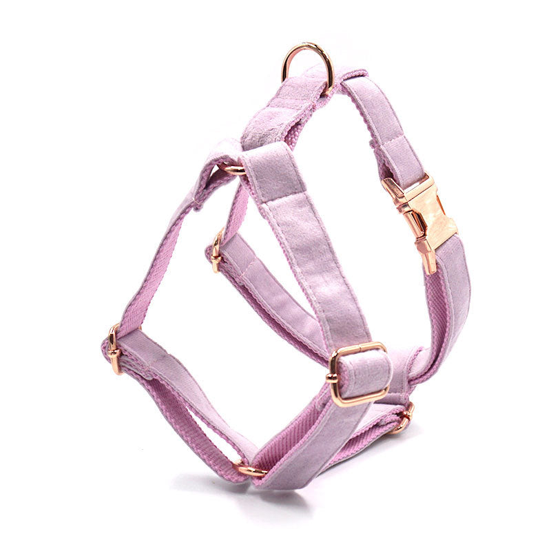 Dark Grey Velvet Pet Collar Leash